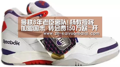曼联8年老臣离队!杨教授将加盟国米 转会费150万欧-开元牌棋(图4) 开元牌棋